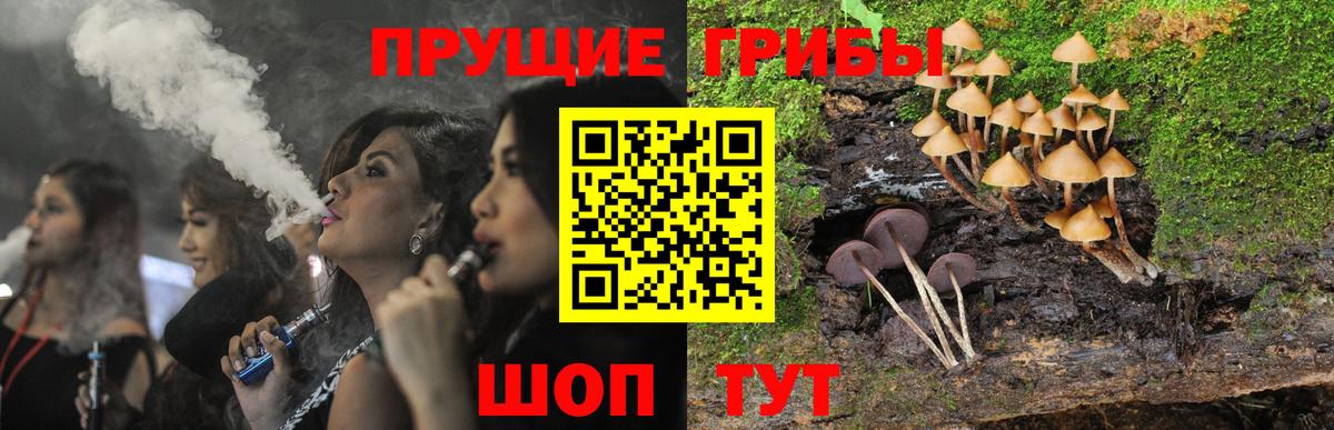 Унеча  Псилоцибиновые грибы MAGIC MUSHROOMS  Вход с VPN 